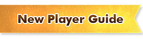 New Player Guide